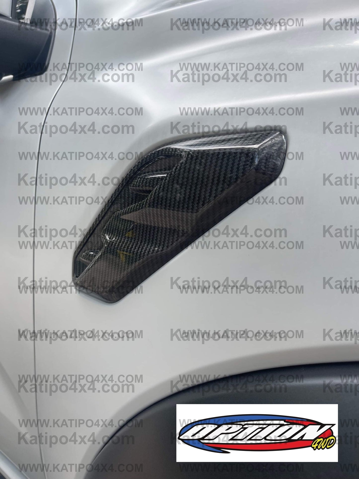 Real Carbon Fibre NEXT-GEN RAPTOR EXTERIOR  REPLACEMENTS