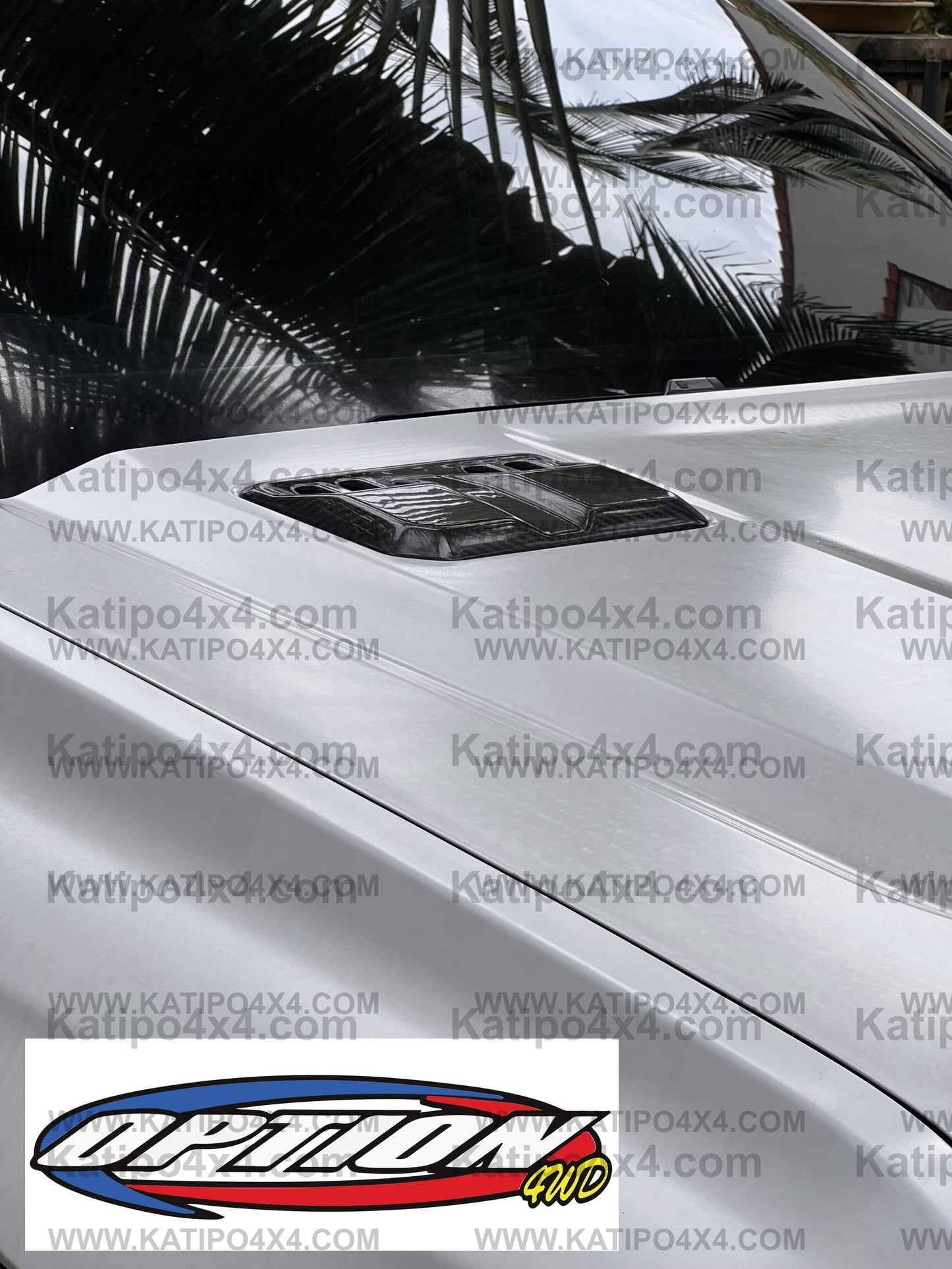 Real Carbon Fibre NEXT-GEN RAPTOR EXTERIOR  REPLACEMENTS