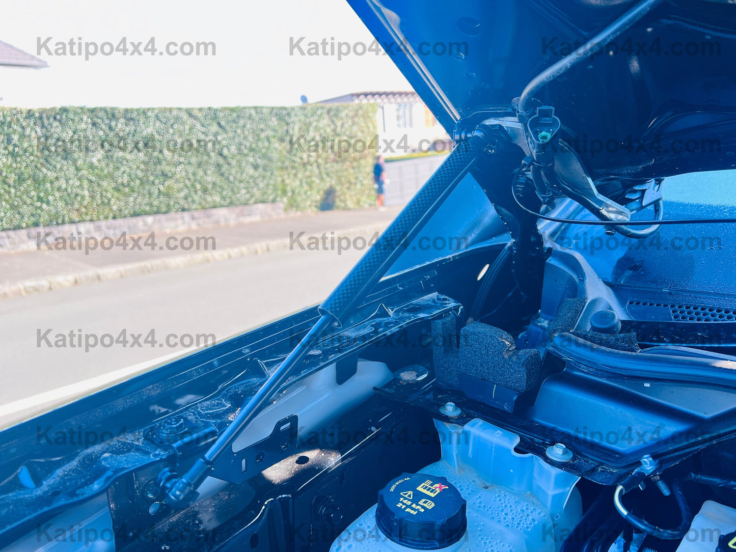 NEXT-GEN FORD RANGER & RAPTOR Bonnet Gas Struts