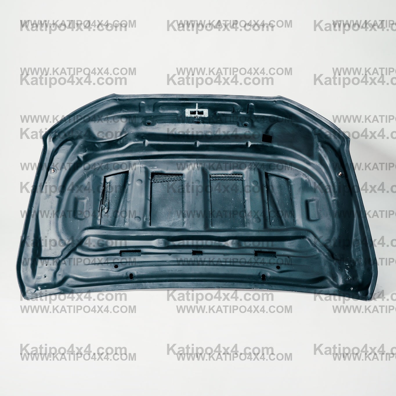 PX1 FORD RANGER CARBON BONNET, TYPE - GT ( WORLDWIDE SHIPPING )