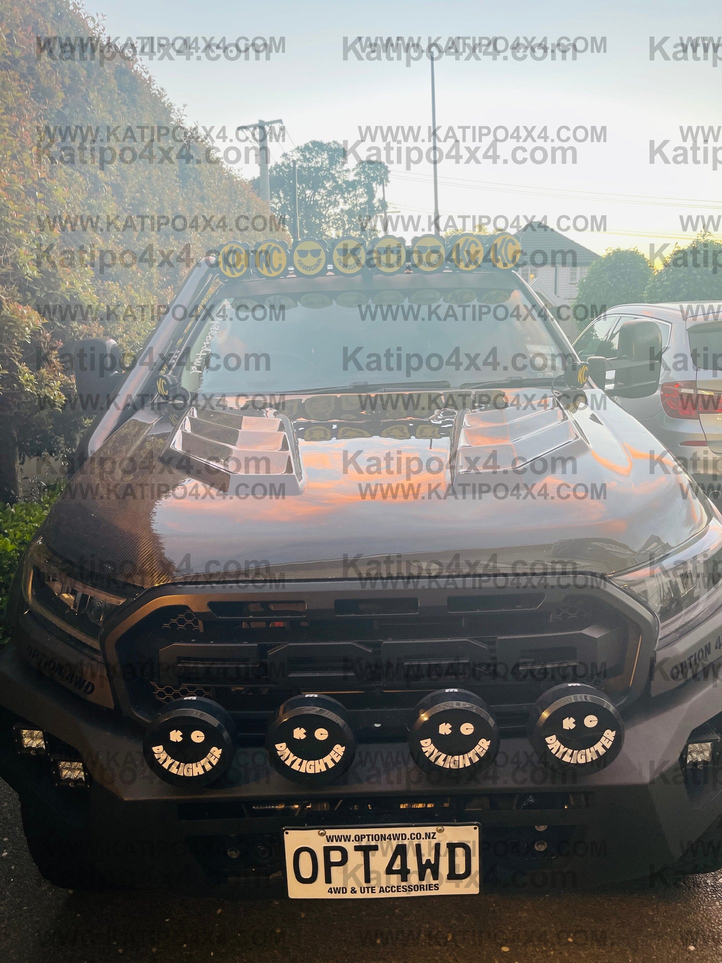 FORD RANGER, EVEREST & RAPTOR  CARBON BONNET, TYPE - MARKO (2015-2022) N.Z ONLY