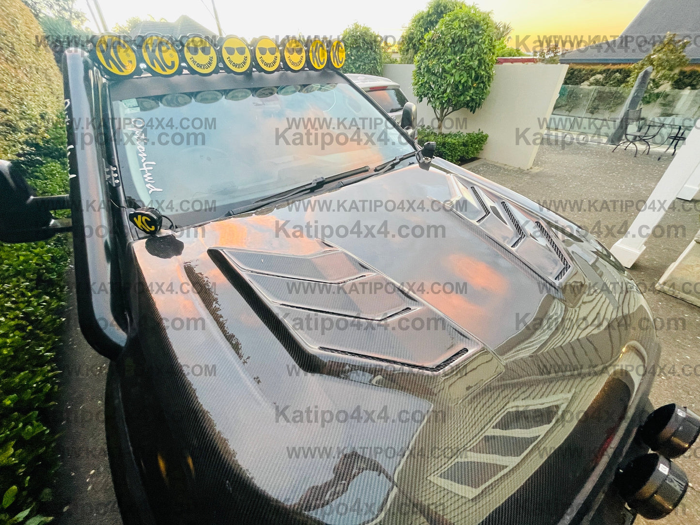 FORD RANGER, EVEREST & RAPTOR  CARBON BONNET, TYPE - MARKO (2015-2022) N.Z ONLY