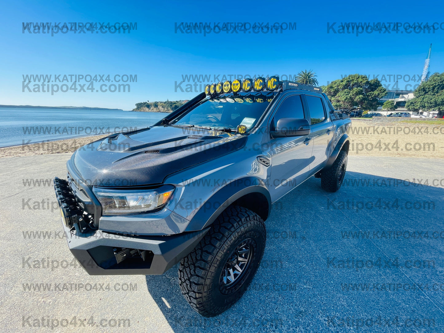 FORD RANGER, EVEREST & RAPTOR  CARBON BONNET, TYPE - STINGER (2015-2022) WORLDWIDE SHIPPING