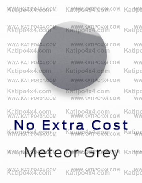 NEXT-GEN EVEREST RAPTOR WIDE BODY KIT, FRONT BUMPER & REAL RAPTOR GRILL
